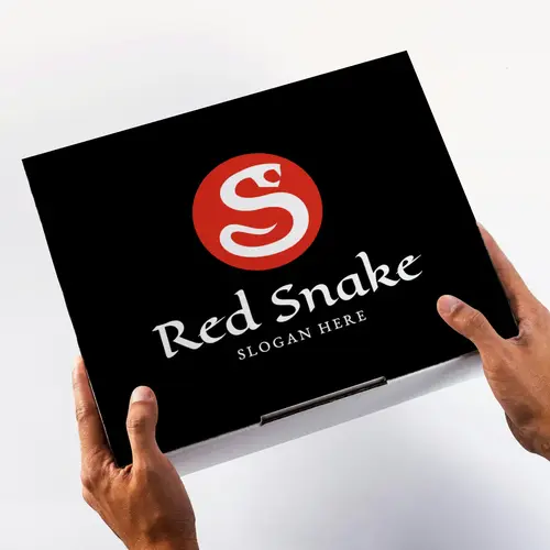 Box Snake and Letter S Logo Mockup