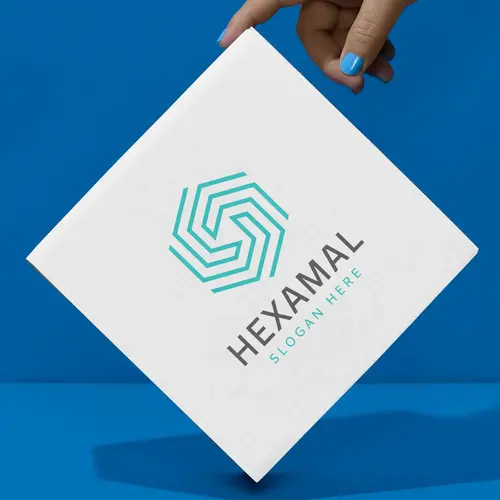 Box Minimalist Hexagonal Symbolic Logo Mockup