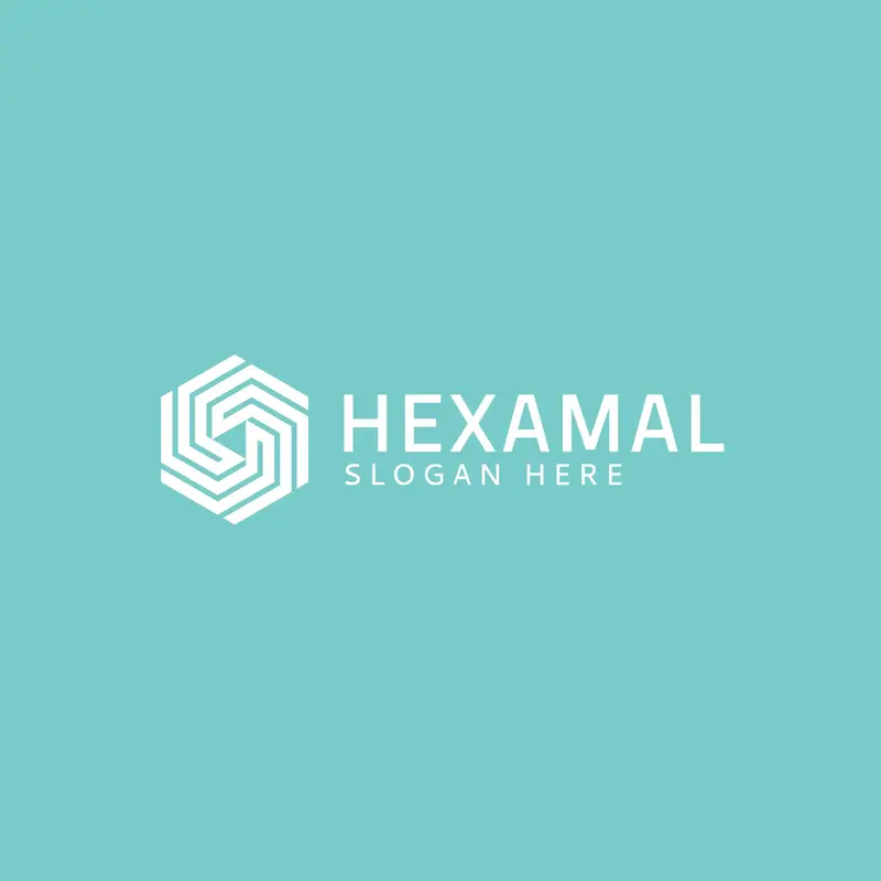 Minimalist Hexagonal Symbolic Logo (2)