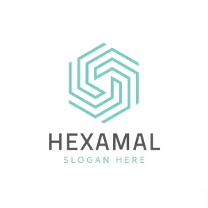Minimalist Hexagonal Symbolic Logo